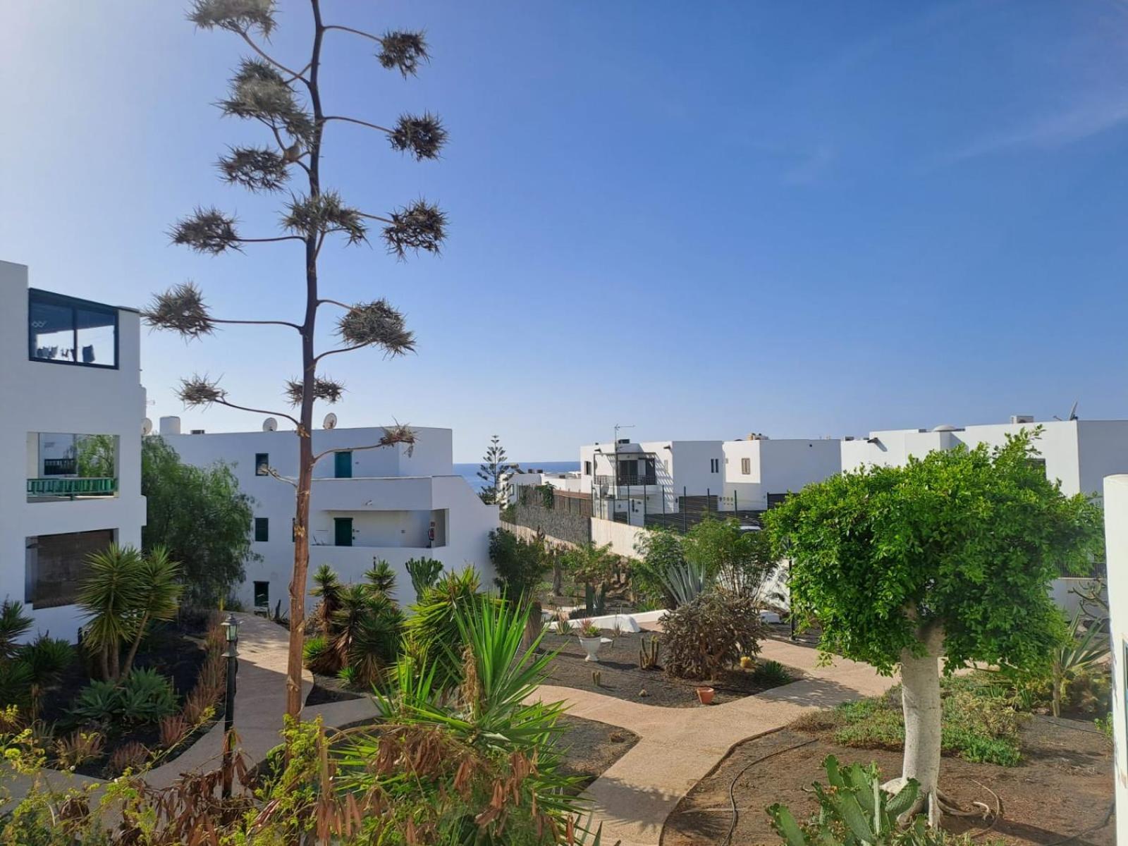 Azul Tuscan Playa Y Piscina Costa Teguise Eksteriør billede